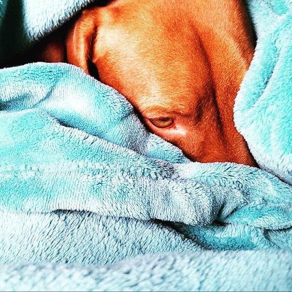 Meet your Posher, Gina - Picture 1 of 1